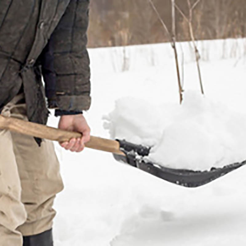 Small Shovel molding